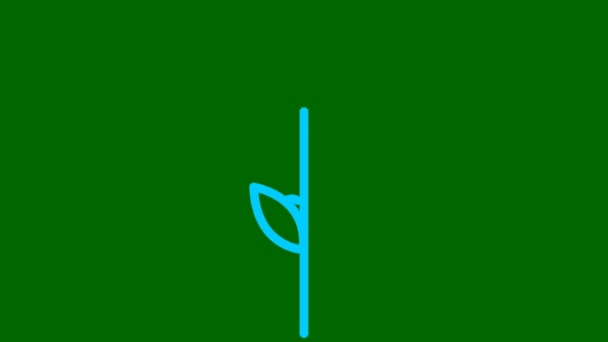 麦穗的蓝色动画符号 收获的概念 直线图标 在绿色背景上孤立的向量图 — 图库视频影像
