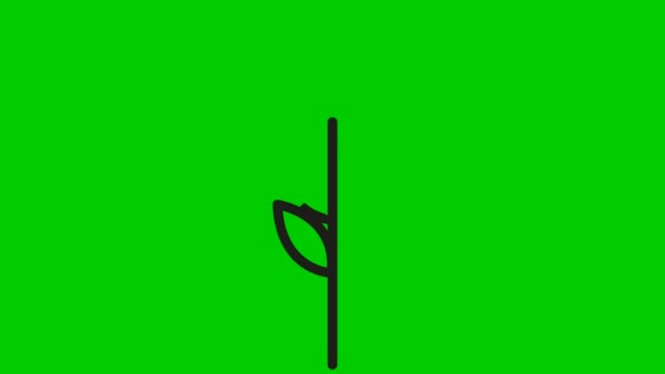小麦の耳のアニメーション黒のシンボル パンの概念 線形アイコン 緑の背景に独立したベクトル図 — ストック動画