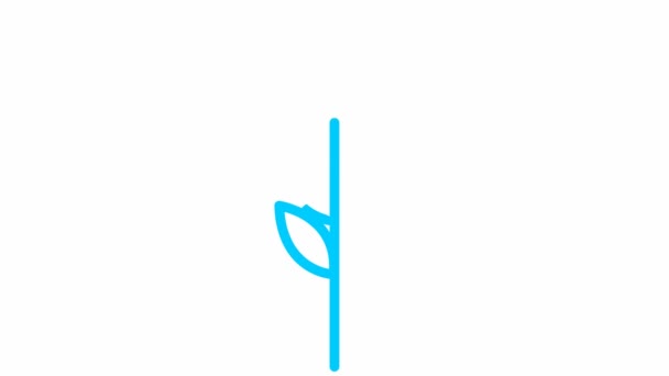 Animowany Niebieski Symbol Ucha Pszenicy Pojęcie Jedzenia Chleba Liniowa Ikona — Wideo stockowe