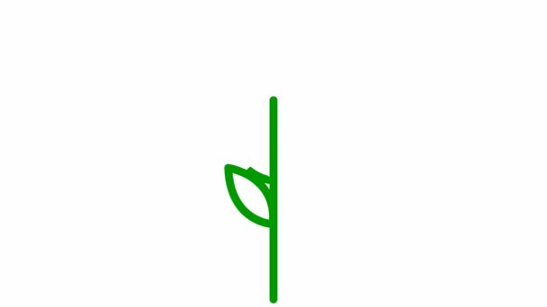 Animowany Zielony Symbol Ucha Pszenicy Pojęcie Jedzenia Chleba Liniowa Ikona — Wideo stockowe