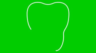 Animasyon diş sembolü yavaş yavaş çiziliyor. Kristal berrak dişin doğrusal beyaz simgesi. Diş hekimliği kavramı. Döngülü video. Yeşil arkaplanda izole edilmiş vektör illüstrasyonu.