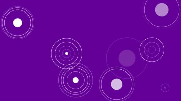 Animerad Violett Abstrakt Bakgrund Med Vit Cirkel Bakgrund Med Animering — Stockvideo