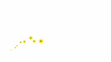 Animated yellow beautiful flowers fly from left to right. Looped video. Concept of spring. A wave of flying flowers on white background.
