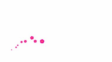 Animated magenta beautiful flowers fly from left to right. Looped video. Concept of spring. A wave of flying sakuras flowers on white background.