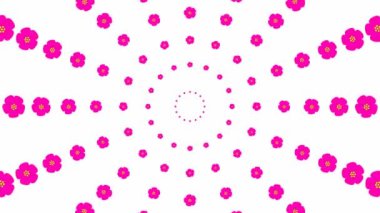 Animated increasing magenta beautiful flower circles from the center. Flower background. Looped video. Concept of spring. Vector illustration isolated on white background.