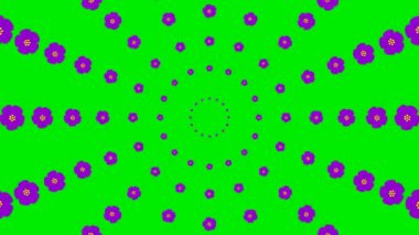 Animated increasing violet beautiful flower circles from the center. Flower background. Looped video. Concept of spring. Vector illustration isolated on green background.