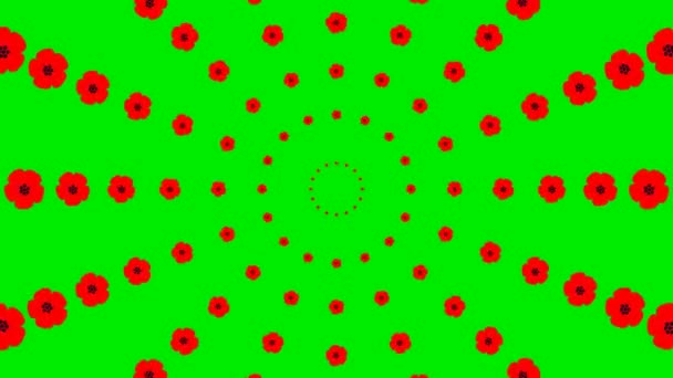 Animated Increasing Red Beautiful Flower Circles Center Background Poppy Looped — ストック動画