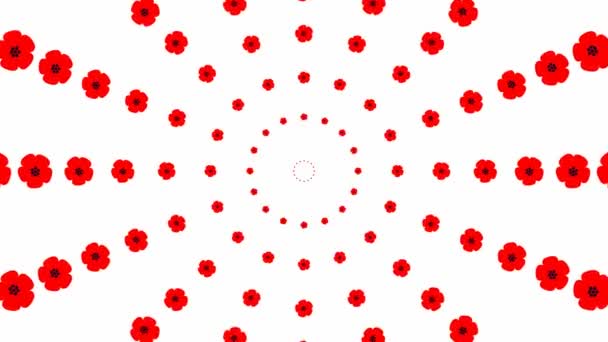 Animated Increasing Red Beautiful Flower Circles Center Background Poppy Looped — Stockvideo