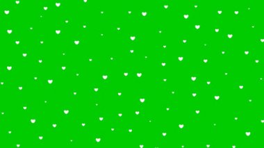 Tepeden tırnağa uçuşan hareketli beyaz kalpler. Döngülü video. Yeşil arka planda izole kalp yağmuru