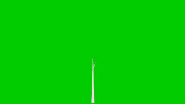 The tree gradually grows, magenta leaves appear on the branches. Pink flowers are blooming. The black symbol. Concept of spring. Flat vector illustration isolated on green background.