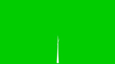 The white tree gradually grows, leaves appear on the branches. Pink flowers are blooming. The black symbol. Concept of spring. Flat vector illustration isolated on green background.