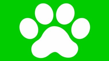 Animasyon kedi beyaz ayak izi. Bir kedinin penk izi beliriyor. Döngülü video. Yeşil arkaplanda izole edilmiş vektör düz illüstrasyon