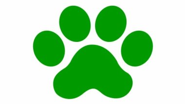 Animated cat green footprint. A cat's paw print appears. Looped video. Vector flat illustration isolated on the white background