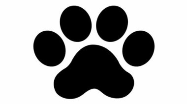 Animated cat black footprint. A cat's paw print appears. Looped video. Vector flat illustration isolated on the white background