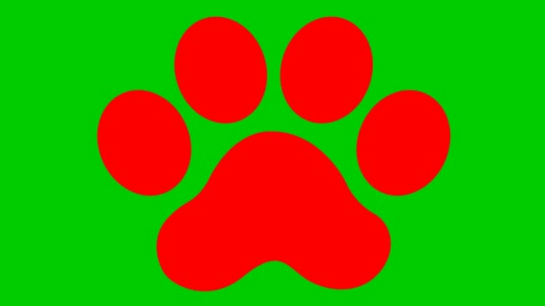 Animated Cat Red Footprint Cat Paw Print Appears Looped Video — Video Stock