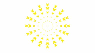 Animated yellow butterflies fly from center. Looped video. Vector illustration isolated on white background.