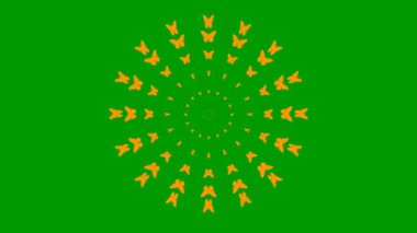 Animated orange butterflies fly from center. Looped video. Vector illustration isolated on green background.