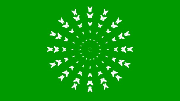 アニメーション化された白い蝶が中心から飛ぶ ループビデオだ 緑の背景に独立したベクトル図 — ストック動画