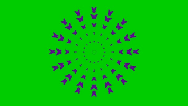 アニメーション化された紫色の蝶が中心から飛ぶ ループビデオだ 緑の背景に独立したベクトル図 — ストック動画