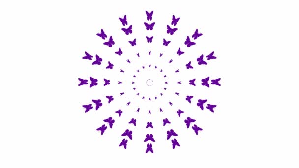 Animated Violet Butterflies Fly Center Looped Video Vector Illustration Isolated — Vídeo de Stock