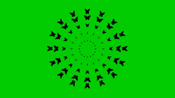 アニメーション化された黒い蝶が中心から飛ぶ ループビデオだ 緑の背景に独立したベクトル図 — ストック動画