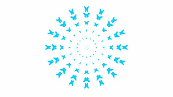 Animated Blue Butterflies Fly Center Looped Video Vector Illustration Isolated — Vídeo de stock