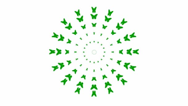 Animowane Zielone Motyle Latają Centrum Zapętlone Wideo Ilustracja Wektora Izolowana — Wideo stockowe