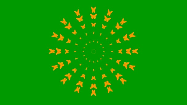アニメ化されたオレンジ色の蝶が中心から飛ぶ ループビデオだ 緑の背景に独立したベクトル図 — ストック動画