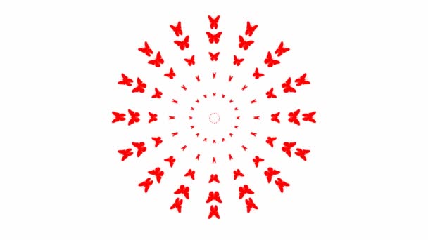 アニメーション化された赤い蝶が中心から飛ぶ ループビデオだ 白を基調としたベクトルイラスト — ストック動画