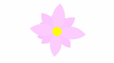 Animasyon pembe çiçek açar. Vektör illüstrasyonu beyaz arkaplanda izole edildi.