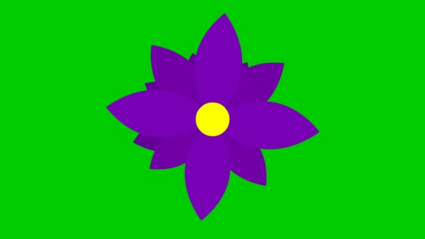 Animated Violet Flower Blossoms Vector Illustration Isolated Green Background — Stock Video