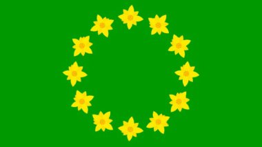 Animated yellow flower blossoms. Circle frame from flowers. Floral template with copy space for text. Looped video. Flat vector illustration isolated on green background.