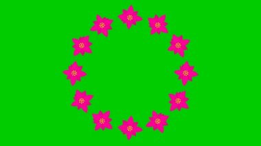 Animated magenta flower blossoms. Circle frame from flowers. Floral template with copy space for text. Looped video. Flat vector illustration isolated on green background.