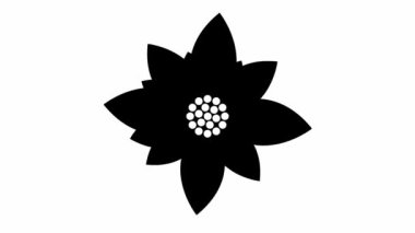 Animated black flower blossoms. Vector illustration isolated on white background.