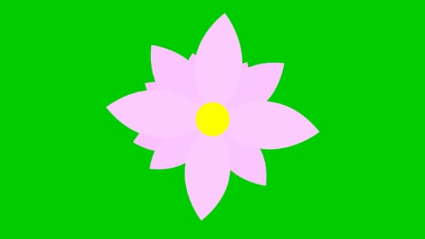 Animated Pink Flower Blossoms Vector Illustration Isolated Green Background — Stock Video