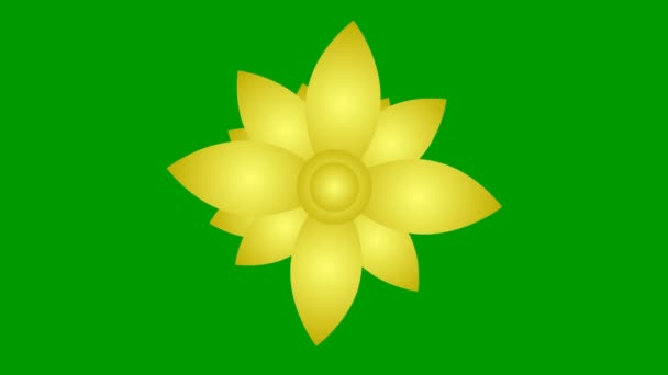 Animated Golden Flower Blossoms Vector Illustration Isolated Green Background — Stock Video
