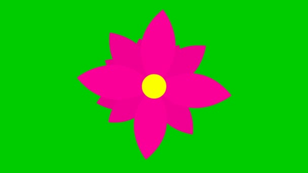 Animated Magenta Flower Blossoms Vector Illustration Isolated Green Background — стоковое видео