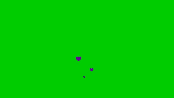 Des Coeurs Violets Animés Volent Bas Haut Concept Amour Passion — Video
