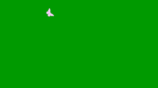 生动活泼的粉色蝴蝶 循环视频 夏天和春天的概念 在绿色背景上孤立的向量图 — 图库视频影像