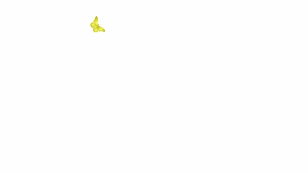 Animowane Złote Muchy Motyla Zapętlone Wideo Koncepcja Letnia Wiosenna Ilustracja — Wideo stockowe