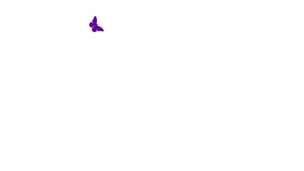 Mariposa Violeta Animada Vuela Vídeo Bucle Concepto Verano Primavera Ilustración — Vídeo de stock