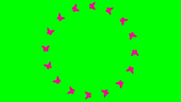 マゼンタ蝶のアニメーションフレームが円の中を飛ぶ ループビデオだ 夏と春のコンセプト 緑の背景に独立したベクトル図 — ストック動画