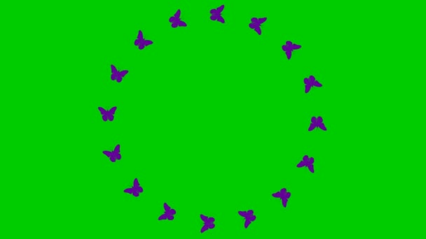 Marco Animado Las Mariposas Violetas Vuela Círculo Vídeo Bucle Concepto — Vídeos de Stock