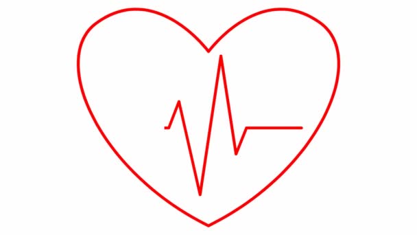 用心电图激活的红心砰砰跳 脉动心动图的线性符号 循环视频心跳的心脏 心脏科 医学的概念 白色背景上孤立的向量图 — 图库视频影像