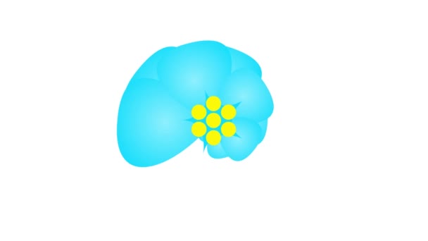 蓝色的花 生机勃勃的盛开象征 春天的概念 白色背景上孤立的平面矢量图解 — 图库视频影像