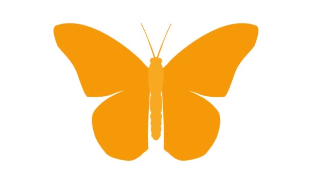 Animovaná Oranžová Křídla Motýlů Smyčkové Video Ploché Vektorové Ilustrace Izolované — Stock video