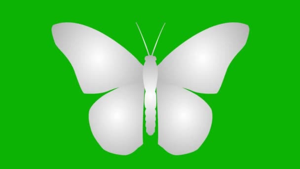 Animowany Srebrny Motyl Klapy Skrzydła Zapętlone Wideo Płaska Ilustracja Wektor — Wideo stockowe