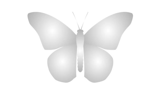 Animierter Silberner Schmetterling Flattert Mit Flügeln Video Schleife Flache Vektordarstellung — Stockvideo
