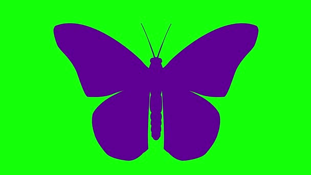 Animated Violet Butterfly Flaps Wings Looped Video Flat Vector Illustration — Stock Video