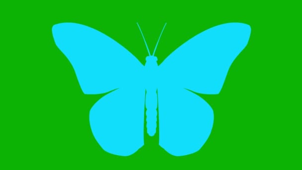 Aletas Mariposa Azul Animado Alas Vídeo Bucle Ilustración Vectorial Plana — Vídeo de stock